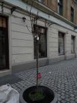 Imagine atasata: Reabilitare centru - 2015.12.12- 60.jpg